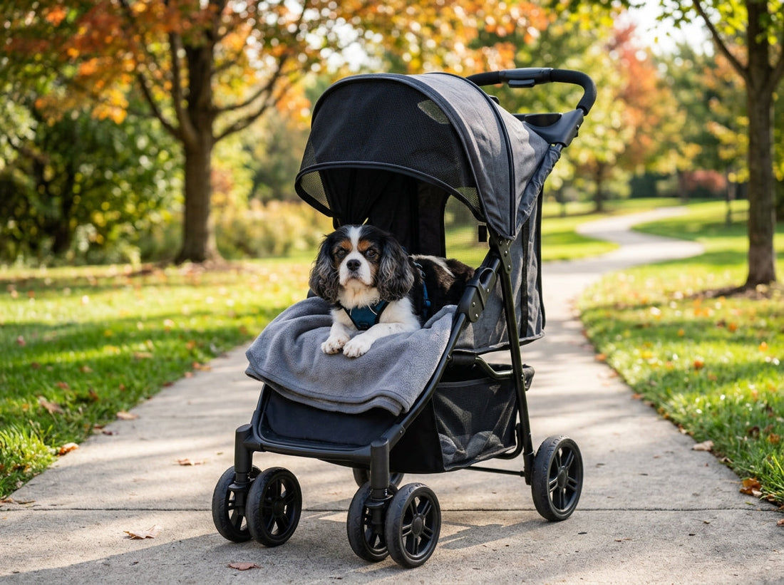 Senior Cavalier King Charles Spaniel resting comfortably inside a dark grey pet stroller on a sunny suburban sidewalk.