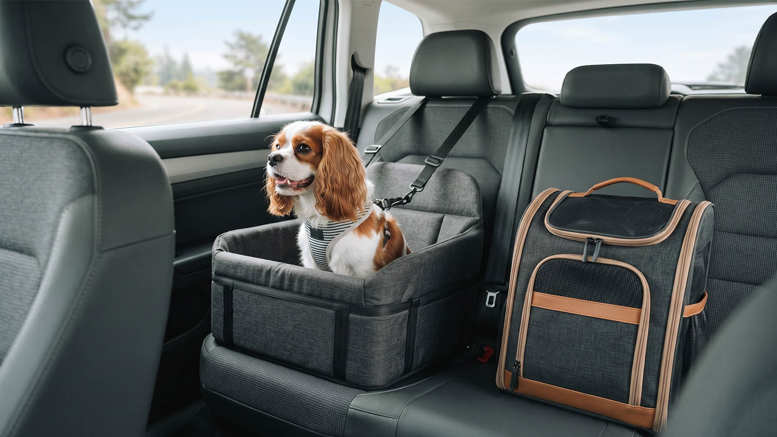 Dog in a car seat during travel