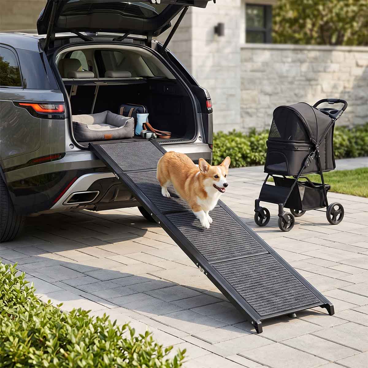 Pet Travel Gear