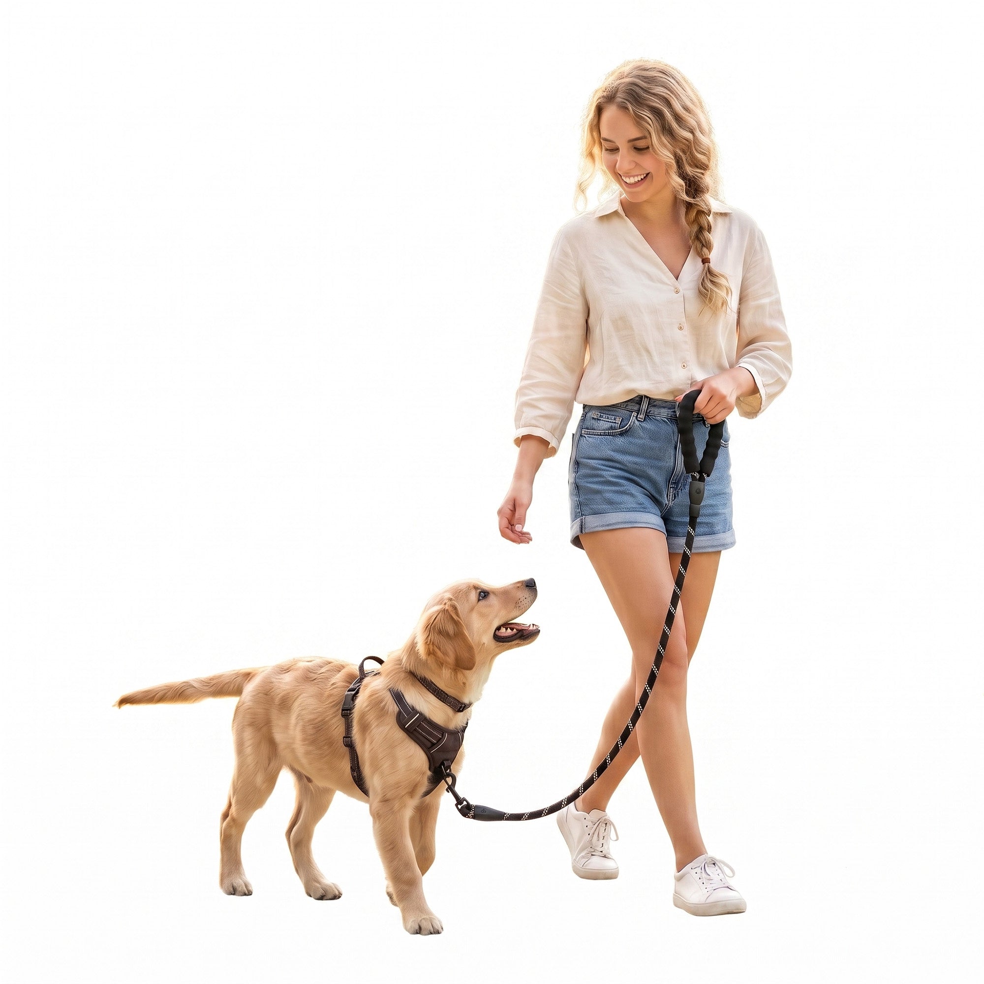 Dog leashes for walking and outdoor travel