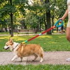 Person walking a corgi with a colorful nylon dog leash in the park