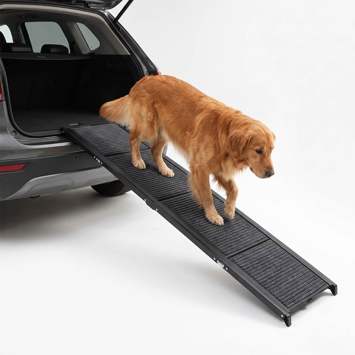 Large dog using a black car ramp to enter an SUV