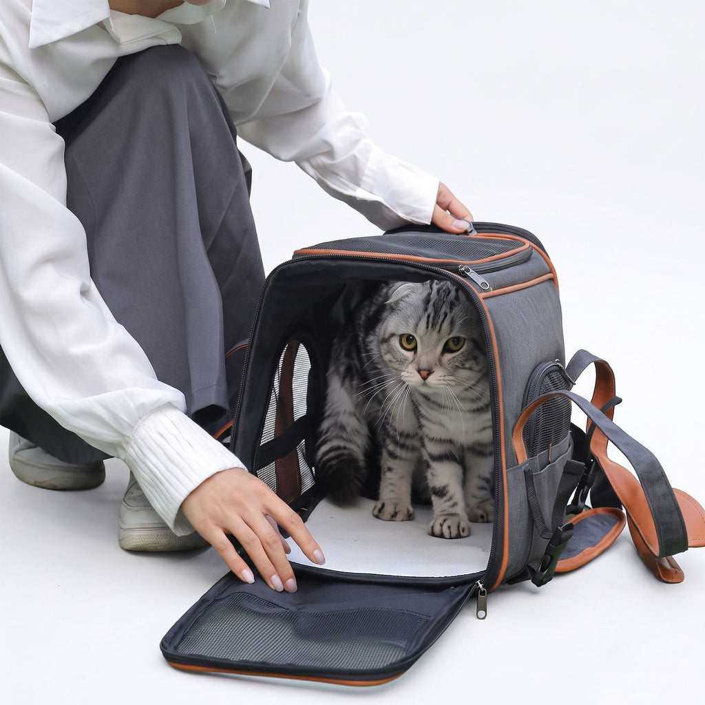 Cat entering gray pet carrier tote through side opening