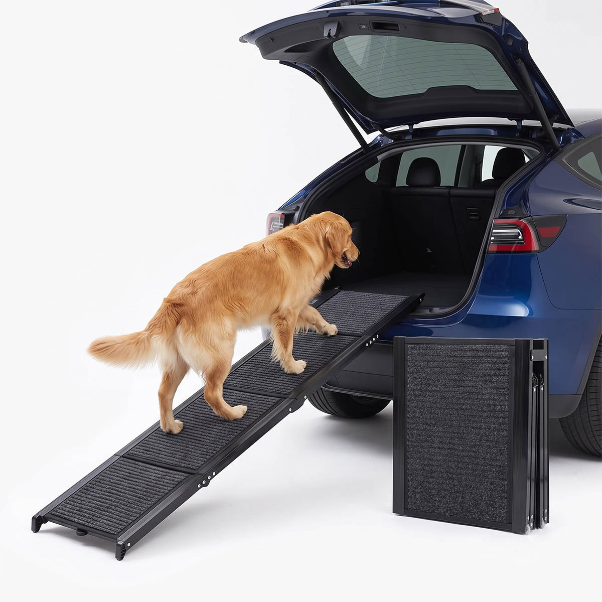 Large dog using a foldable ramp to enter a vehicle cargo area