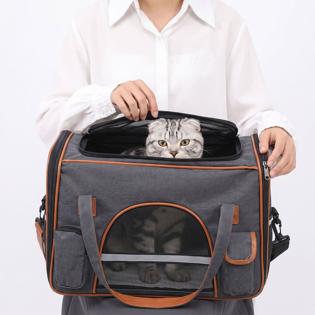 Cat looking out from top opening of gray breathable pet carrier tote