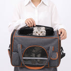 Cat looking out from top opening of gray breathable pet carrier tote