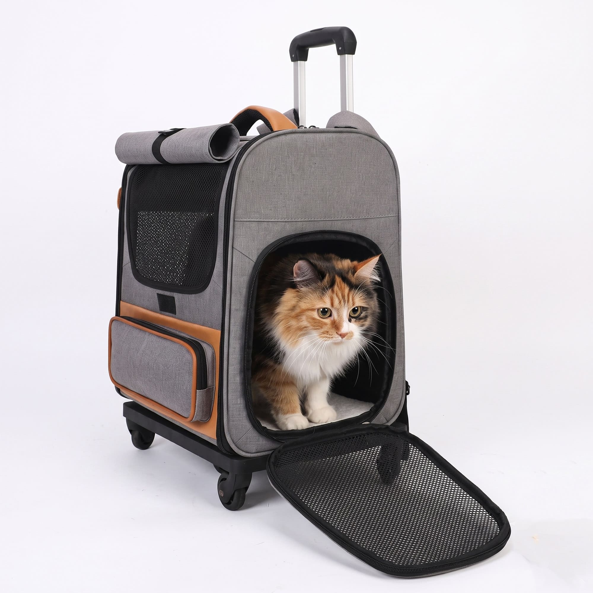 Gray wheeled pet carrier backpack with cat inside and front mesh door open