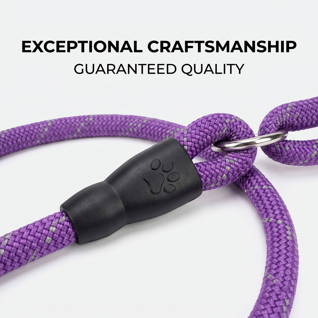 Purple reflective nylon dog leash with reinforced rope and protective cover