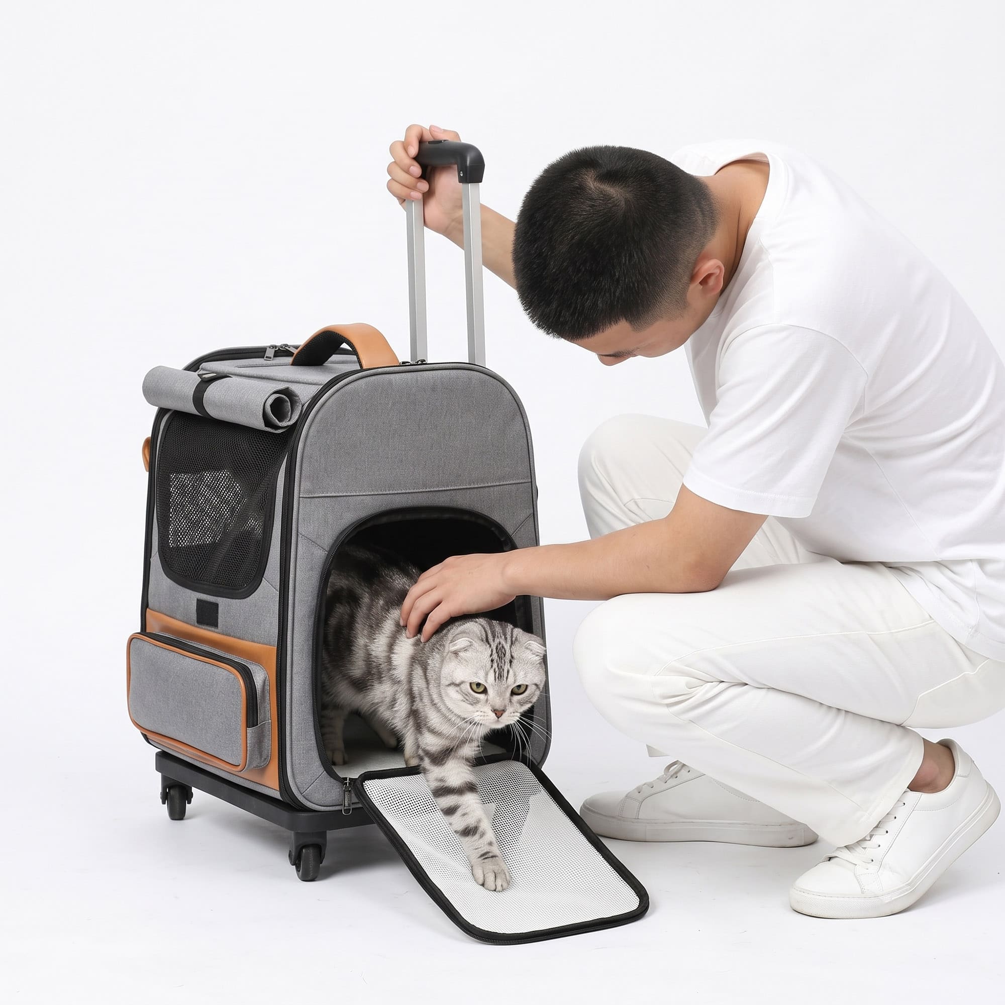 Cat entering gray wheeled pet carrier while owner opens front door
