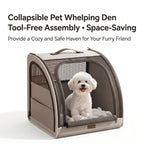 Small dog inside foldable pet carrier with tool-free assembly and space-saving design