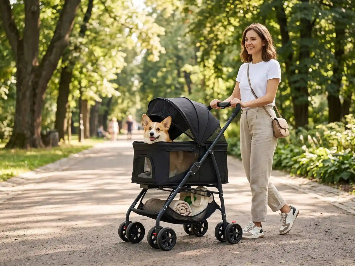 Woman walking a corgi in a PAWIN pet stroller in a park